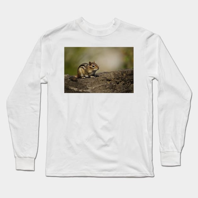 Chipmunk Long Sleeve T-Shirt by jaydee1400